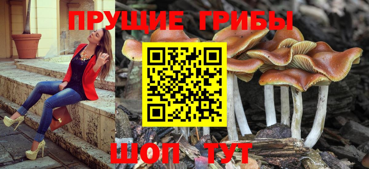 Псилоцибиновые грибы ЛСД Великие Луки