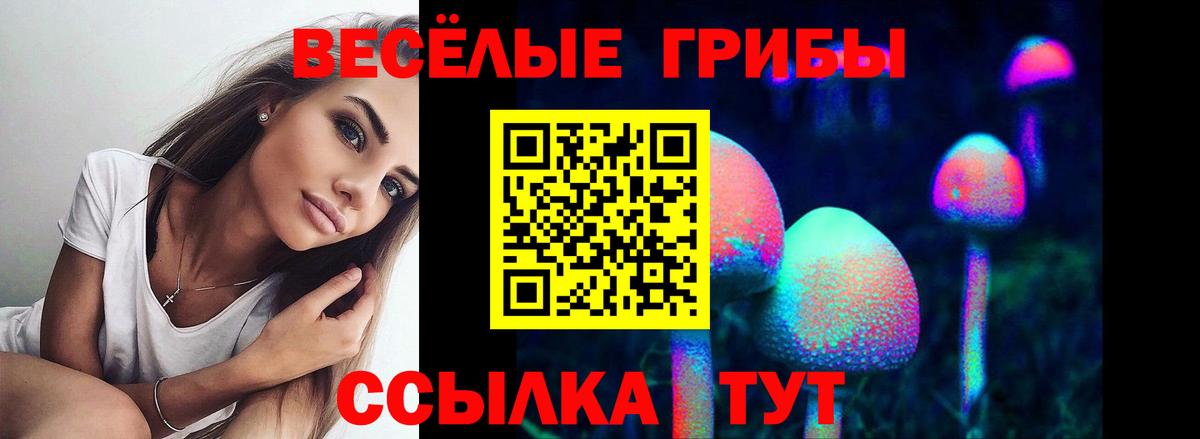 Псилоцибиновые грибы прущие грибы  Галлюциногенные грибы ЛСД  Вход с VPN  Великие Луки 